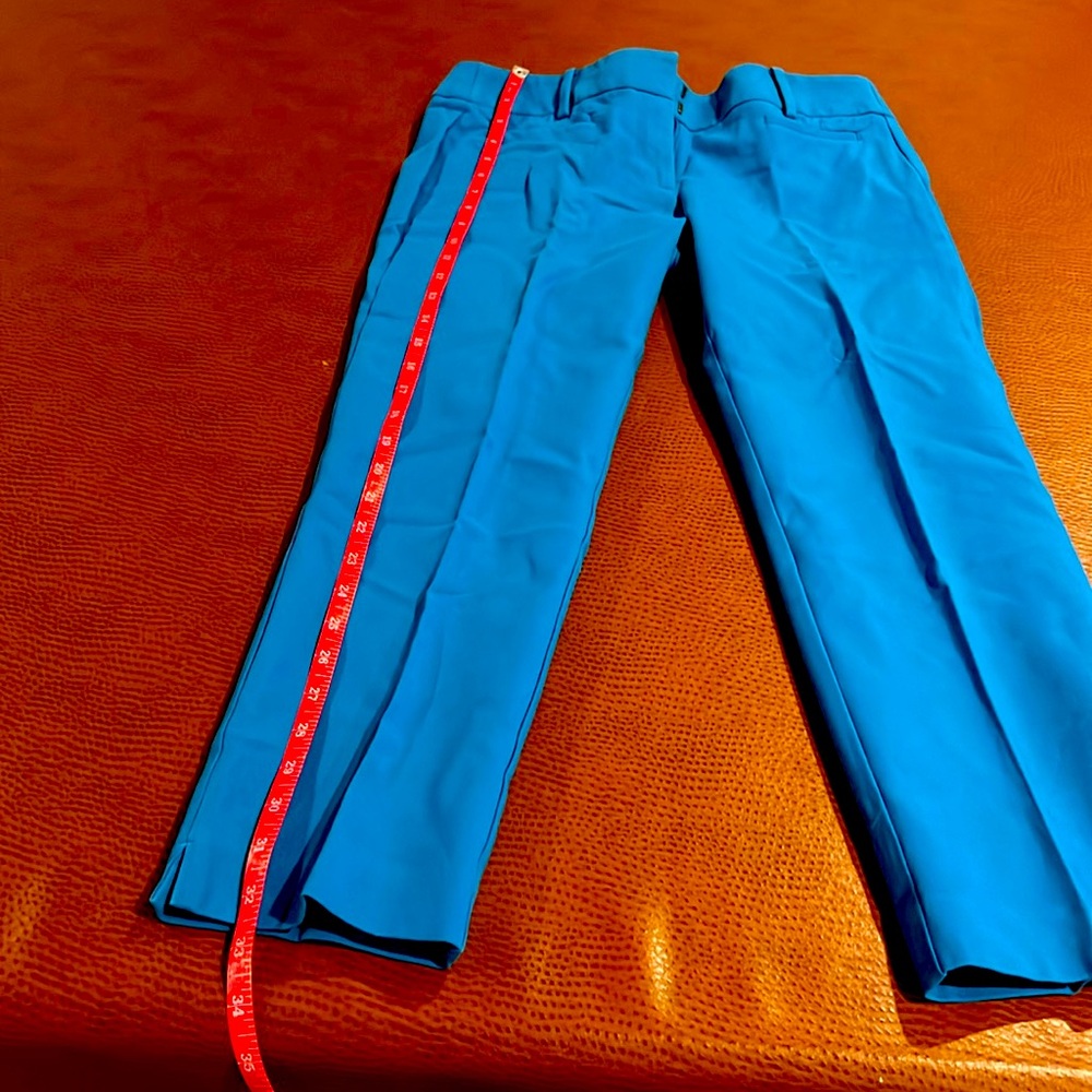 Cropped Pants - image 1